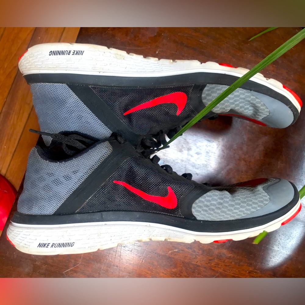 Nike FS Lite Run 3